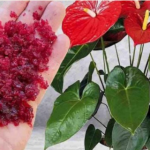 Brzmi niewiarygodnie, ale mała ilość tego składnika może wszystko odmienić!